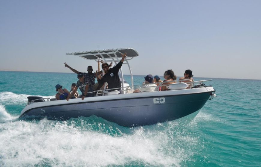 Hurghada: Speedboat Dolphin Watching and Snorkeling