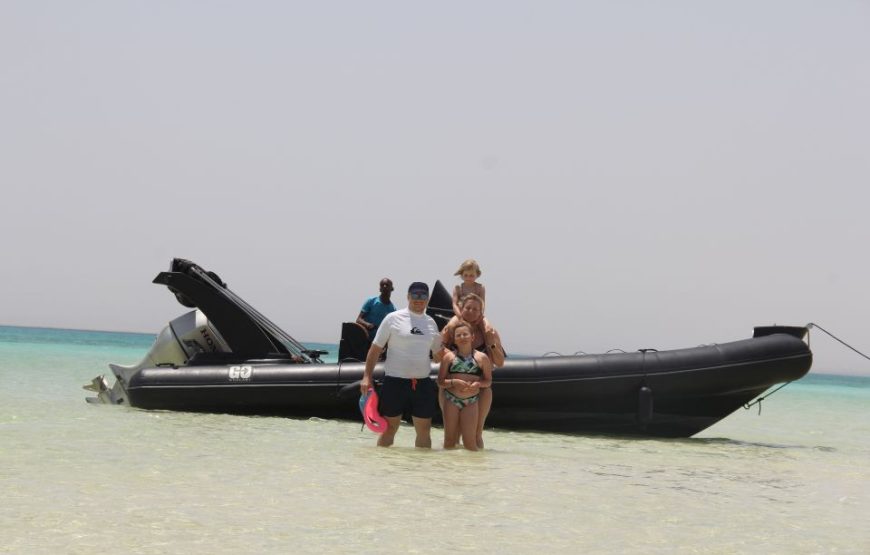 Hurghada: Speedboat Dolphin Watching and Snorkeling