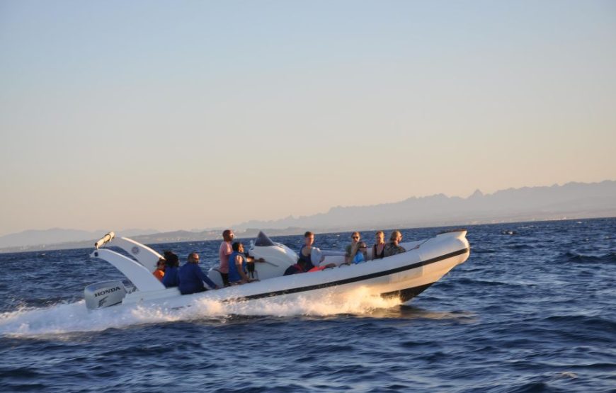 Hurghada: Submarine & Speedboat to Orange Island With Lunch