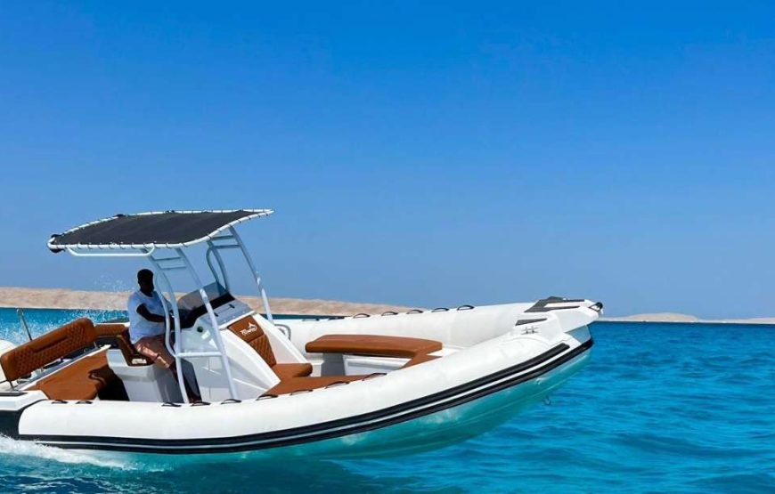 Hurghada: Speedboat Dolphin Watching and Snorkeling