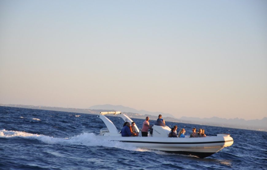 Hurghada: The 7 Wonders Speedboat Tour