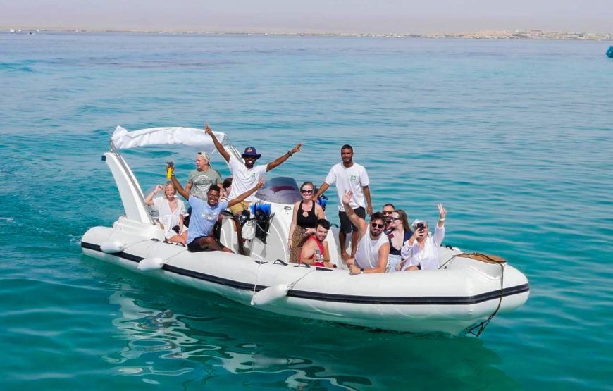 Hurghada: Speedboat Dolphin Watching and Snorkeling