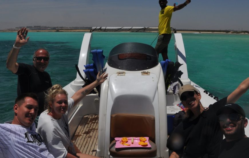 Hurghada: Speedboat Dolphin Watching and Snorkeling