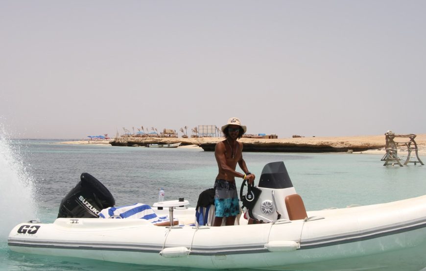 Hurghada: Speedboat Dolphin Watching and Snorkeling