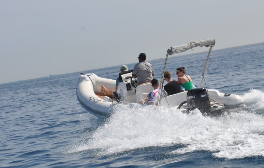 Hurghada: Speedboat Dolphin Watching and Snorkeling