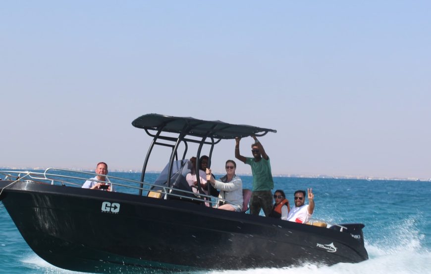 Hurghada: Speedboat Dolphin Watching and Snorkeling