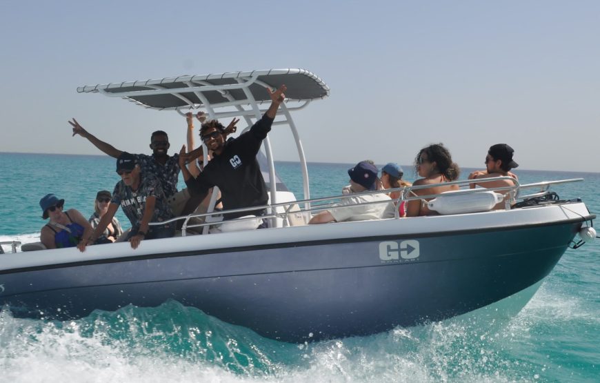 Hurghada: Speedboat Dolphin Watching and Snorkeling