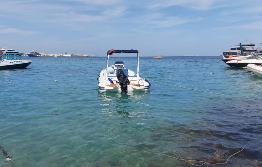 Hurghada: Speedboat Dolphin Watching and Snorkeling