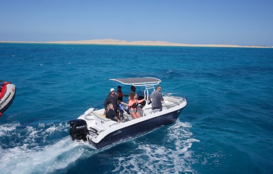 Hurghada: Speedboat Dolphin Watching and Snorkeling