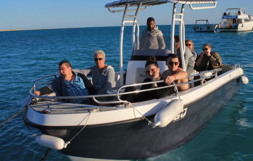 Hurghada: Speedboat Dolphin Watching and Snorkeling