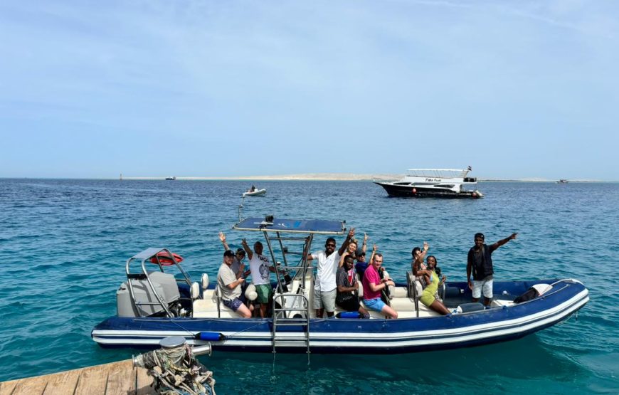 Hurghada: Speedboat Dolphin Watching and Snorkeling