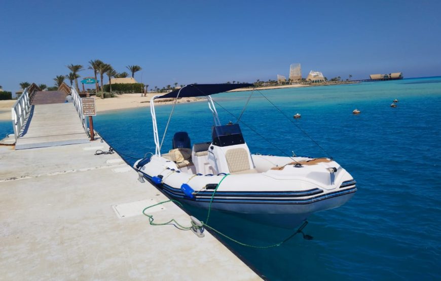 Hurghada: Speedboat Dolphin Watching and Snorkeling