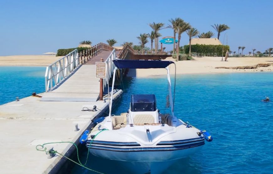 Hurghada: Speedboat Dolphin Watching and Snorkeling