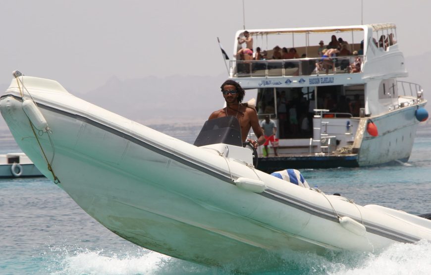 Hurghada: Speedboat Dolphin Watching and Snorkeling