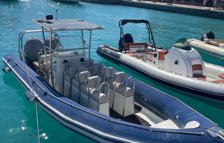 Hurghada: Speedboat Dolphin Watching and Snorkeling