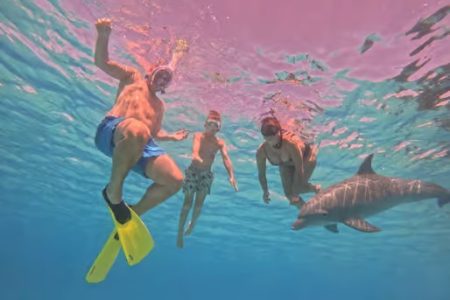 Hurghada Dolphin House Speedboat Trip & Swim with Dolphins