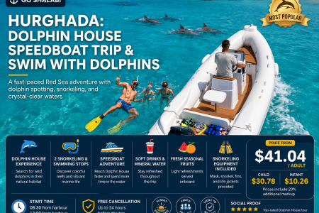 Hurghada Dolphin House Speedboat Trip